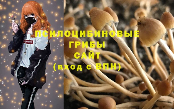 ПСИЛОЦИБИНОВЫЕ ГРИБЫ Абинск